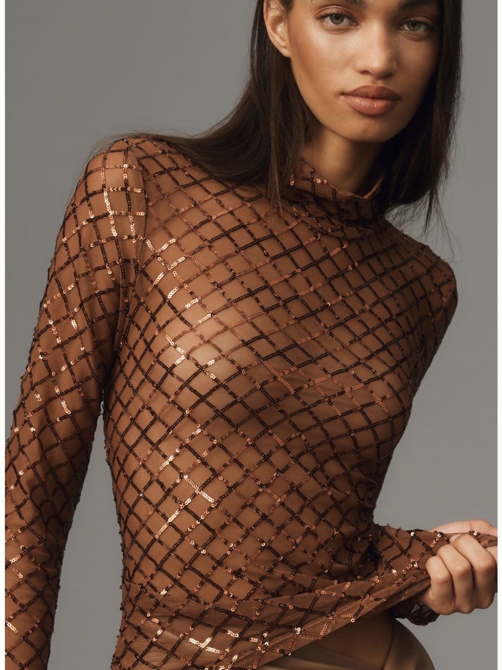 Pilcro Sheer Sequined Brown Lattice Long-Sleeve Top